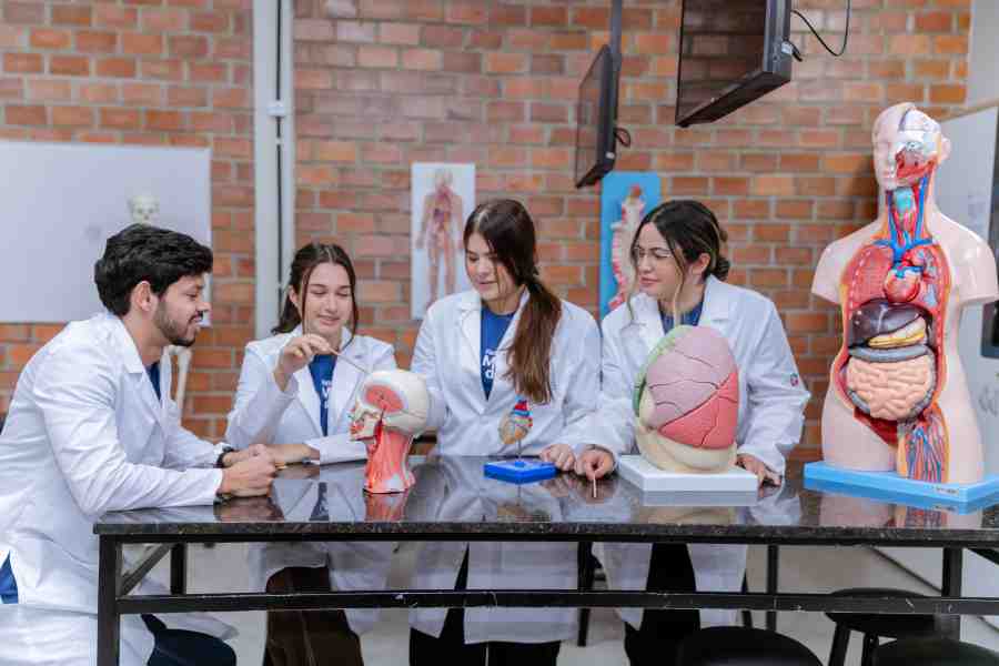 faculdade-medicina-do-sertao-faculdde-de-medicia-anuncia-programa-de-bolsa-prouni