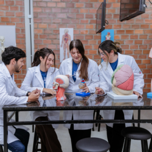 sao-leopoldo-mandic-faculdade-de-medicina-graduaçao-medica-interligas-fms-2026